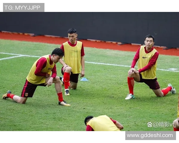 南京足球队配合引发热议球迷对战术选择和球员默契度展开激烈讨论