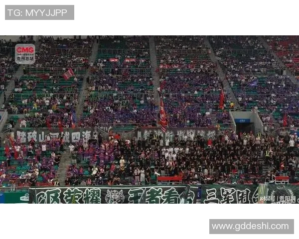 南京足球队比赛经验引发热议球迷对战术选择和球员表现展开激烈讨论