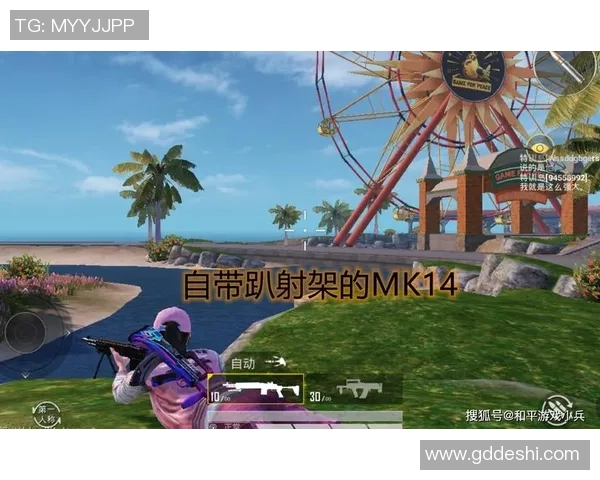 和平精英战术解析FPX边路渗透体系的战斗策略与实战应用 和平精英战术解析FPX边路渗透体系的战斗策略与实战应用