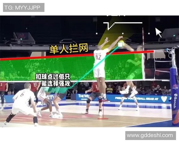 广州排球队运营体系下的排球战术创新与实践探索