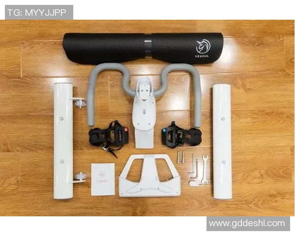 广州极限运动队速度对比深度解析与各队表现评估