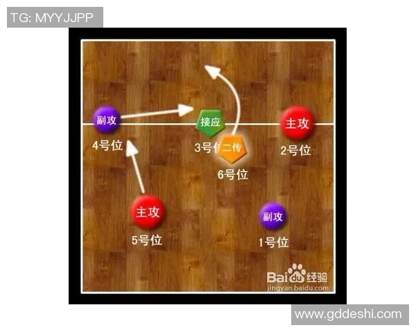 武汉排球队防反体系解析：排球战术中的攻防转换与团队协作
